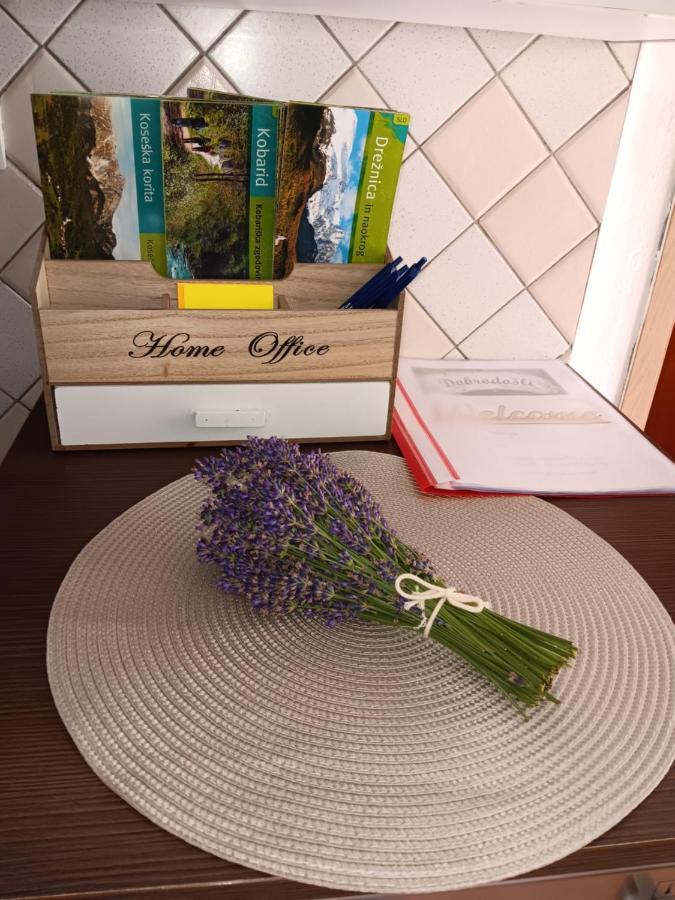 Apartma Metija Kobarid Bagian luar foto