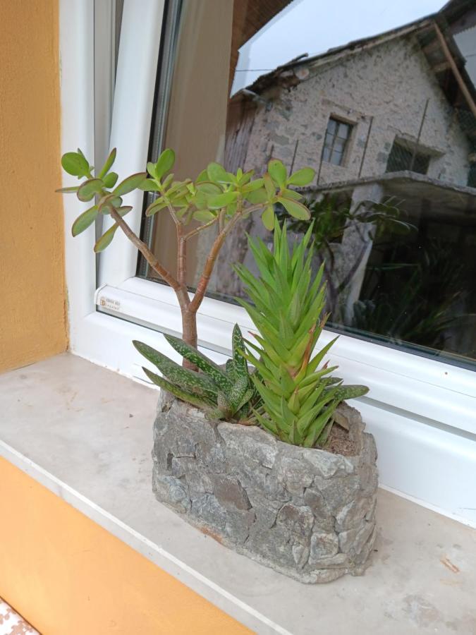 Apartma Metija Kobarid Bagian luar foto